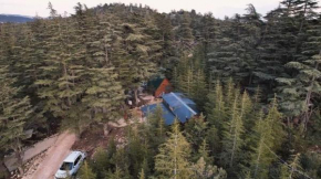 Cedrus life bungalov tesisi